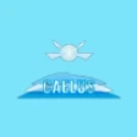 Caelus Management logo