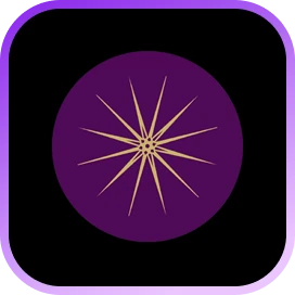 Celestial Management logo