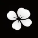 FIORI Agency logo